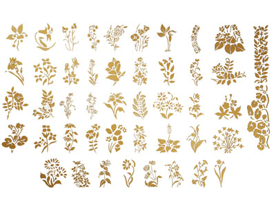 现代花卉剪纸 剪影 墙饰 贴画