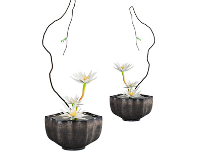 新中式花卉盆景盆栽植物