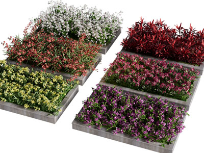 现代花坛花草花卉植物景观园艺小品