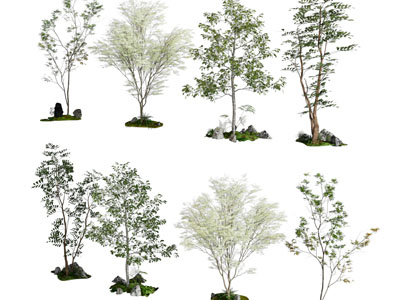 现代景观树木