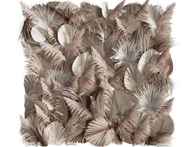 现代干花芦苇植物墙