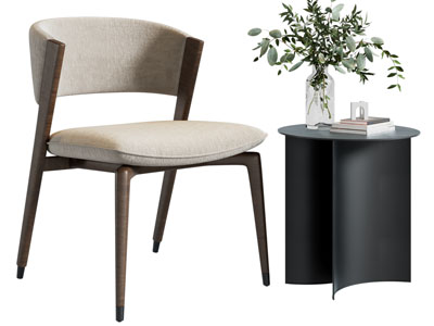 现代休闲椅子 边几