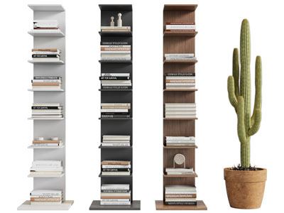 现代实木书架3d模型 现代实木书架