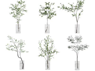 现代玻璃花瓶花卉