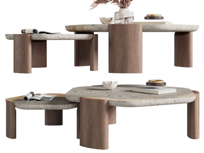 侘寂风异形茶几3d模型 侘寂风异形茶几