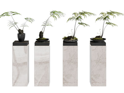 新中式盆景盆栽植物 摆件组合