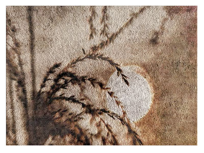 现代长方形地毯