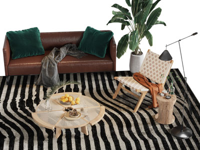 现代中古风双人沙发 休闲椅子和茶几组合