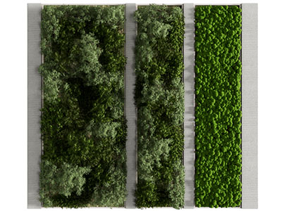 现代造型背景墙 植物墙