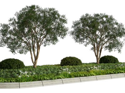 现代花坛花草 景观树木园艺小品