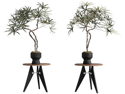 侘寂风边几 黑色花盆盆景盆栽植物