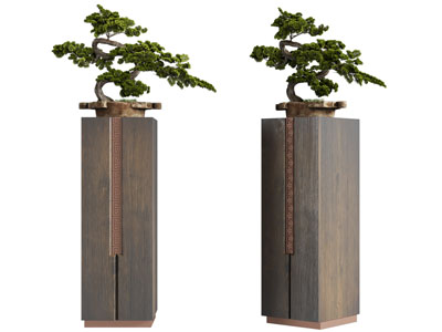 新中式松树盆景盆栽