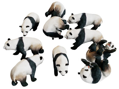 现代熊猫 爬行动物