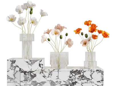 现代玻璃花瓶花卉