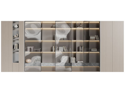 现代玻璃柜门的装饰书柜