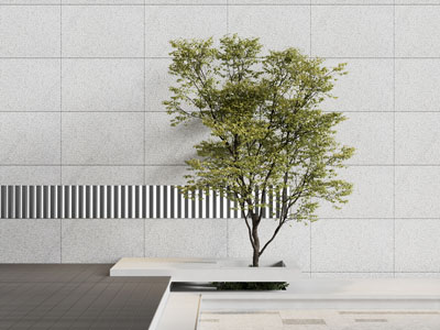 现代室内树木景观园艺小品
