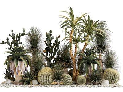 现代仙人球 多肉植物景观园艺小品