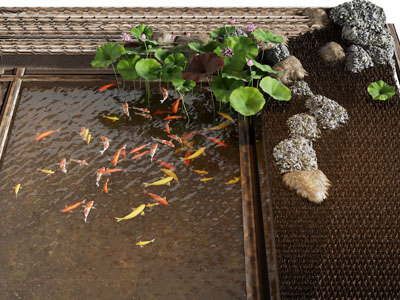 新中式池塘 鱼群 荷花庭院景观园艺小品