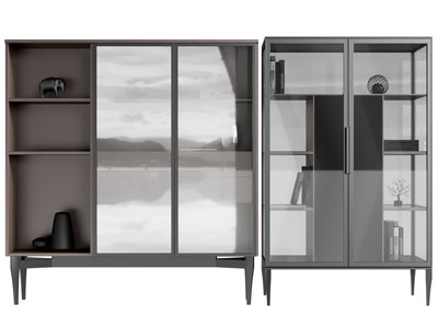 现代玻璃柜门的装饰柜