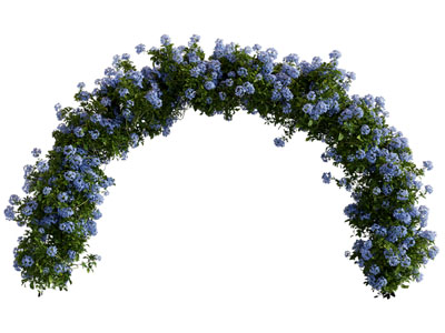 现代花环门拱 园艺3d模型 现代花环门拱 园艺