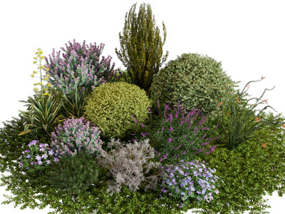 现代花草花卉植物景观园艺小品