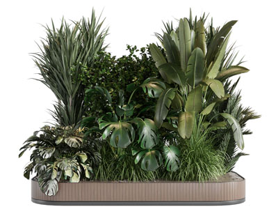 现代花池花草植物 灌木景观园艺小品