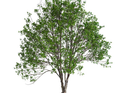 新中式亭子 蝴蝶花美陈 户外装置