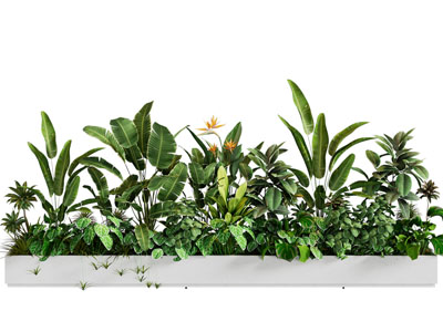 新中式庭院景观墙 水池 松树景观园艺小品