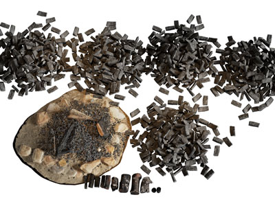 现代花坛花草植物景观园艺小品