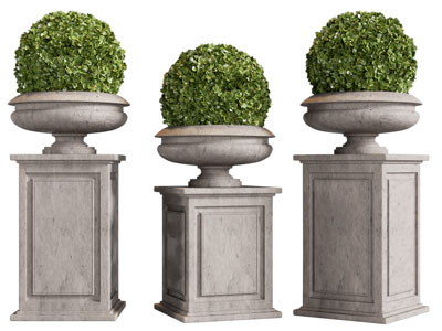 欧式花钵灌木盆栽植物