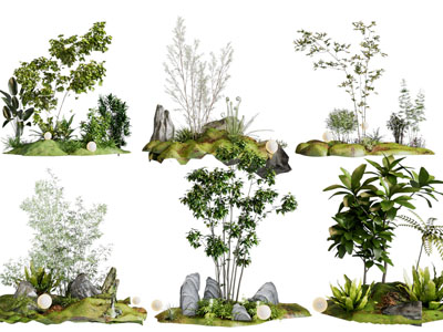 现代花草 石头 树木景观园艺小品