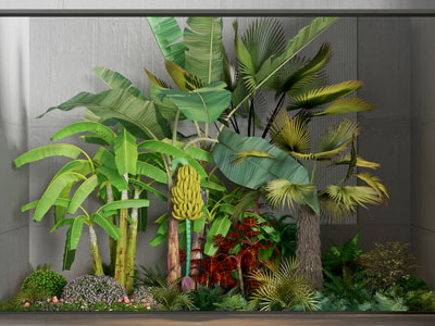 现代室内植物花草景观园艺小品