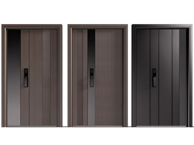 现代子母入户门 平开门3d模型 现代子母入户门 平开门