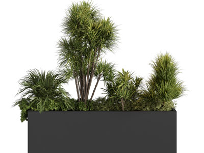 现代户外花箱树木盆栽植物