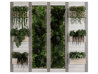 现代植物墙 造型墙