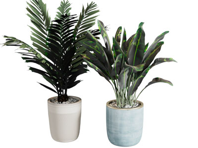 现代花盆盆栽植物