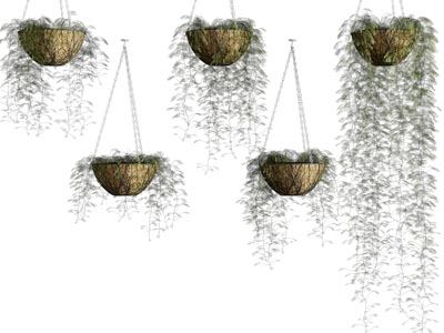 现代藤编花盆吊篮绿植3d模型 现代藤编花盆吊篮绿植