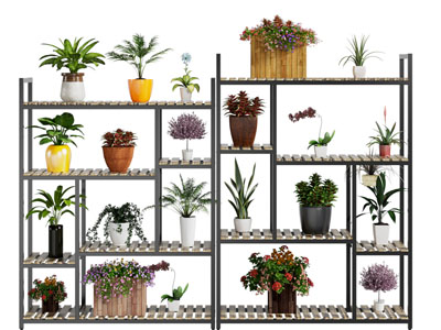 现代植物花架 装饰架