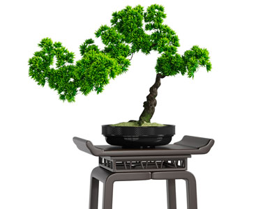 新中式松树盆景盆栽