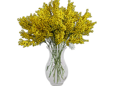 现代玻璃花瓶花卉