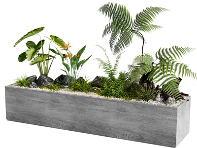 现代花坛花草植物盆栽