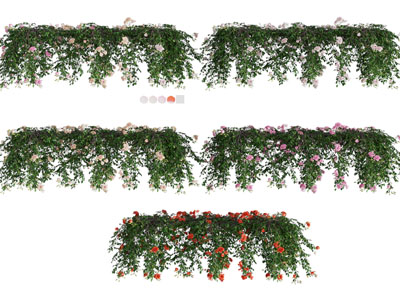 现代藤蔓花卉花草植物