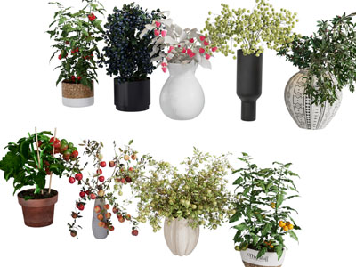 现代花盆盆栽植物