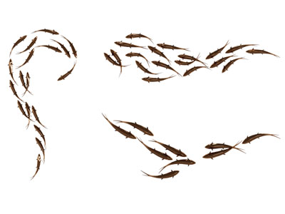 新中式鱼群墙饰挂件