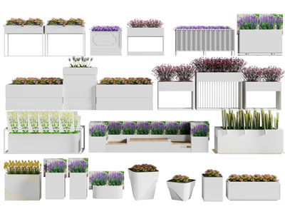 现代花箱花草花卉盆栽植物