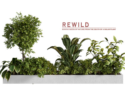 现代花坛花草树木盆栽植物