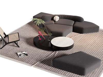 现代异形多人沙发 休闲椅子和茶几组合