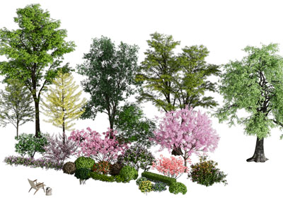 现代花草 树木 灌木植物