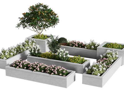 现代花池花草花卉盆景盆栽