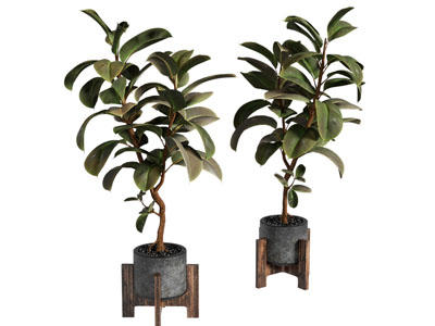 现代水泥花盆盆景盆栽植物